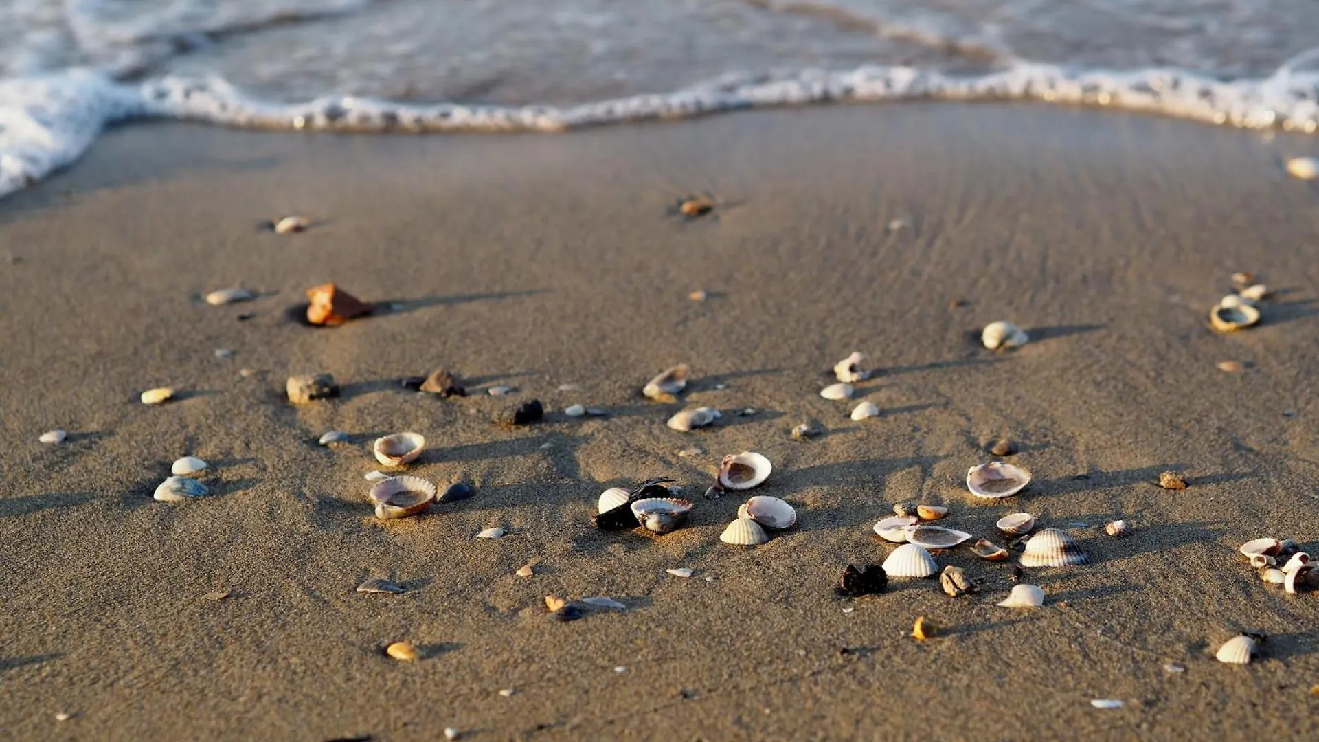 Your Holiday In An Amazing Residence Bibione Itálie